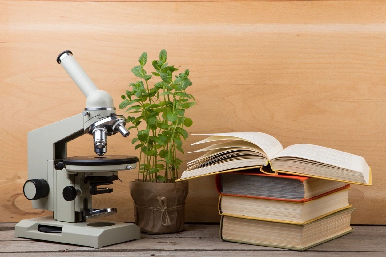 Microscope, potted plant, and open book on a wooden table.