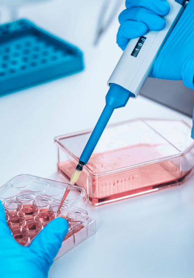 Scientist using a pipette for cell culture in a lab.